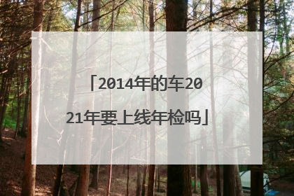 2014年的车2021年要上线年检吗