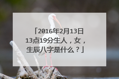2016年2月13日13点19分生人，女，生辰八字是什么？