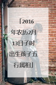 2016年农历2月13日子时出生孩子五行属相