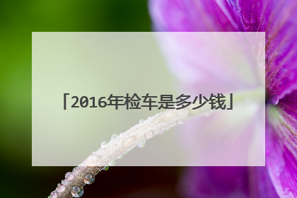 2016年检车是多少钱