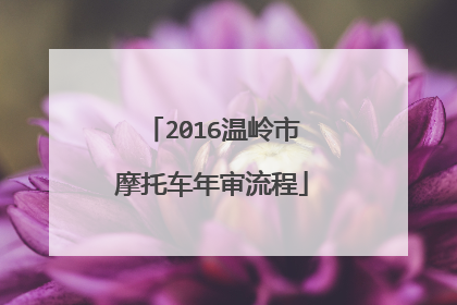 2016温岭市摩托车年审流程