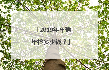 2019年车辆年检多少钱？