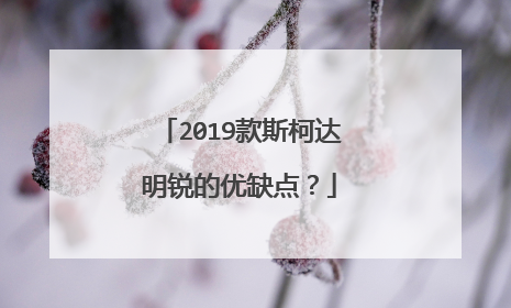 2019款斯柯达明锐的优缺点？
