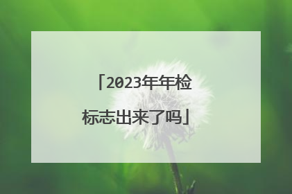 2023年年检标志出来了吗