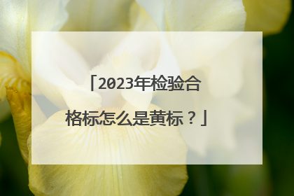 2023年检验合格标怎么是黄标？