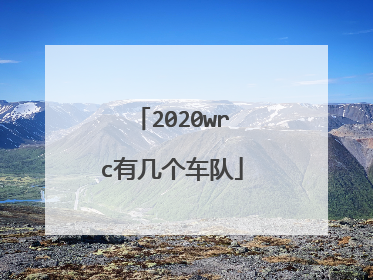 2020wrc有几个车队