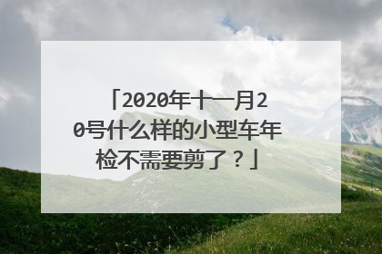 2020年十一月20号什么样的小型车年检不需要剪了？