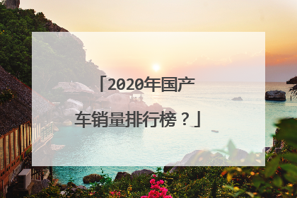 2020年国产车销量排行榜？
