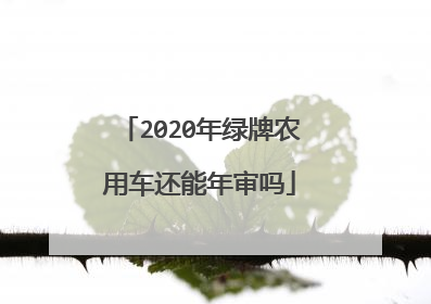 2020年绿牌农用车还能年审吗