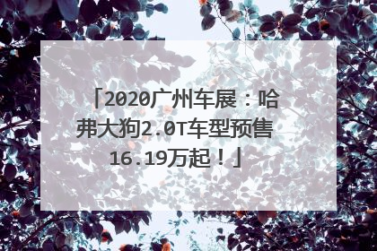 2020广州车展：哈弗大狗2.0T车型预售16.19万起！