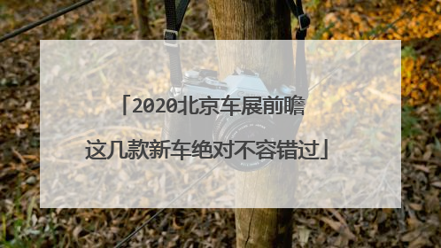 2020北京车展前瞻 这几款新车绝对不容错过