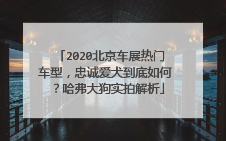 2020北京车展热门车型，忠诚爱犬到底如何？哈弗大狗实拍解析