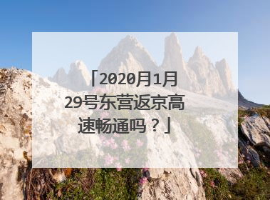 2020月1月29号东营返京高速畅通吗？