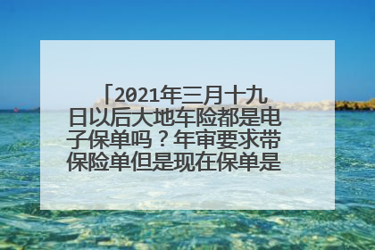 2021年三月十九日以后大地车险都是电子保单吗？年审要求带保险单但是现在保单是电子版的怎么办