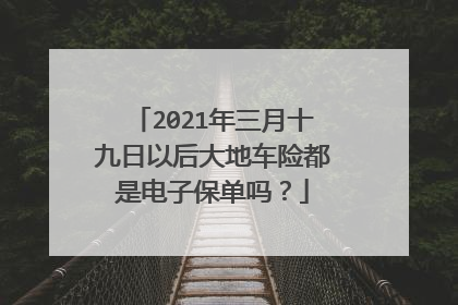 2021年三月十九日以后大地车险都是电子保单吗？