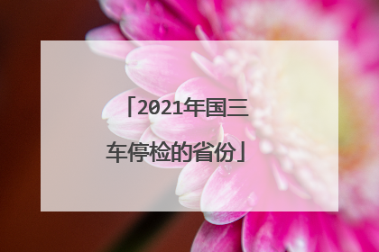 2021年国三车停检的省份