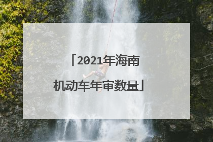 2021年海南机动车年审数量