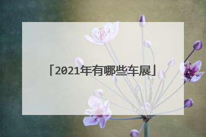 2021年有哪些车展