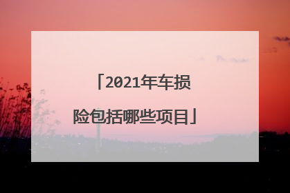 2021年车损险包括哪些项目