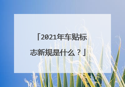 2021年车贴标志新规是什么？
