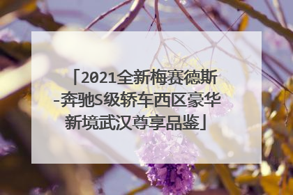2021全新梅赛德斯-奔驰S级轿车西区豪华新境武汉尊享品鉴