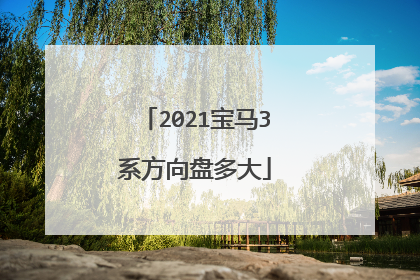 2021宝马3系方向盘多大