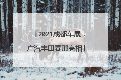 2021成都车展：广汽丰田赛那亮相