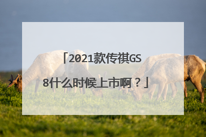 2021款传祺GS8什么时候上市啊？