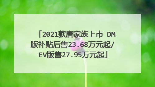 2021款唐家族上市 DM版补贴后售23.68万元起/EV版售27.95万元起