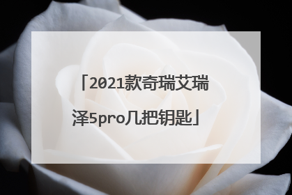 2021款奇瑞艾瑞泽5pro几把钥匙