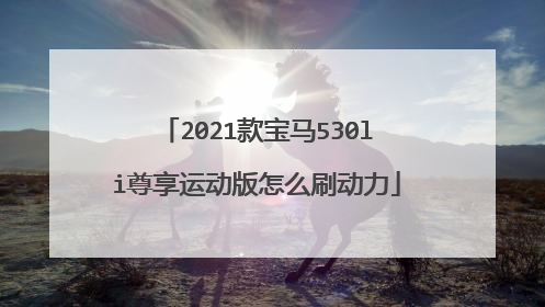 2021款宝马530li尊享运动版怎么刷动力