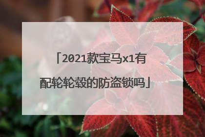 2021款宝马x1有配轮轮毂的防盗锁吗