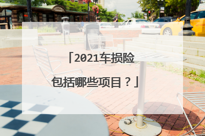 2021车损险包括哪些项目？