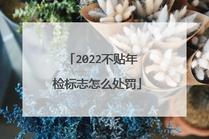 2022不贴年检标志怎么处罚