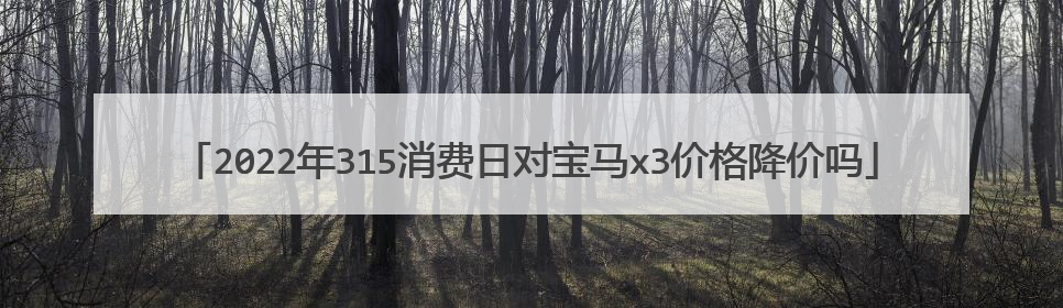 2022年315消费日对宝马x3价格降价吗