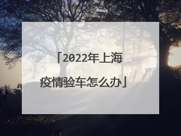 2022年上海疫情验车怎么办