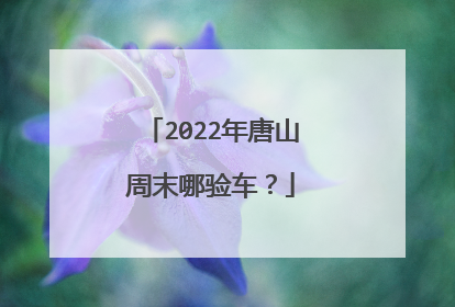 2022年唐山周末哪验车？