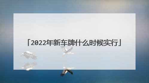 2022年新车牌什么时候实行