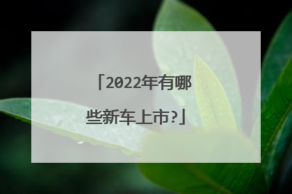 2022年有哪些新车上市?