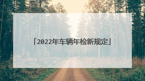 2022年车辆年检新规定