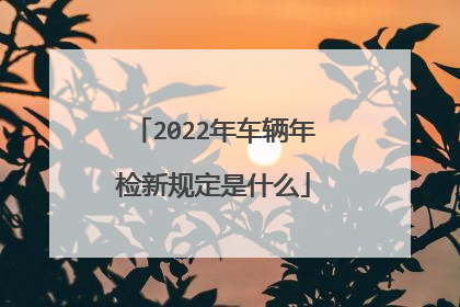 2022年车辆年检新规定是什么