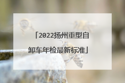 2022扬州重型自卸车年检最新标准