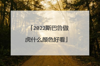 2022斯巴鲁傲虎什么颜色好看