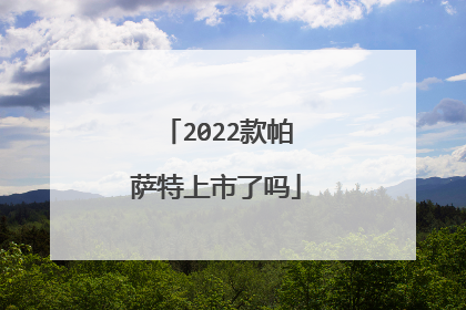 2022款帕萨特上市了吗