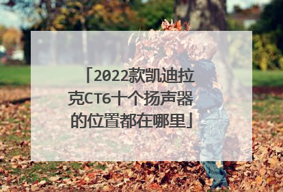 2022款凯迪拉克CT6十个扬声器的位置都在哪里
