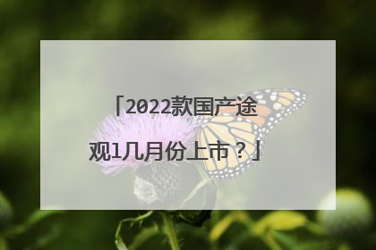 2022款国产途观l几月份上市？