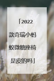 2022款奇瑞小蚂蚁微糖座椅是皮的吗