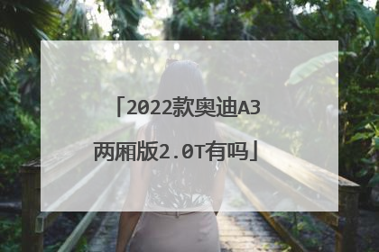 2022款奥迪A3两厢版2.0T有吗