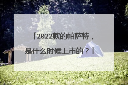 2022款的帕萨特，是什么时候上市的？