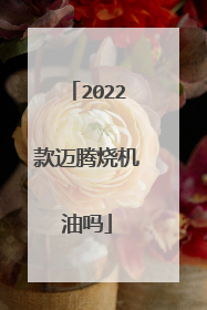 2022款迈腾烧机油吗